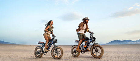 New Arrival: Engwe M20 2.0 Moped Retro Electric Bike