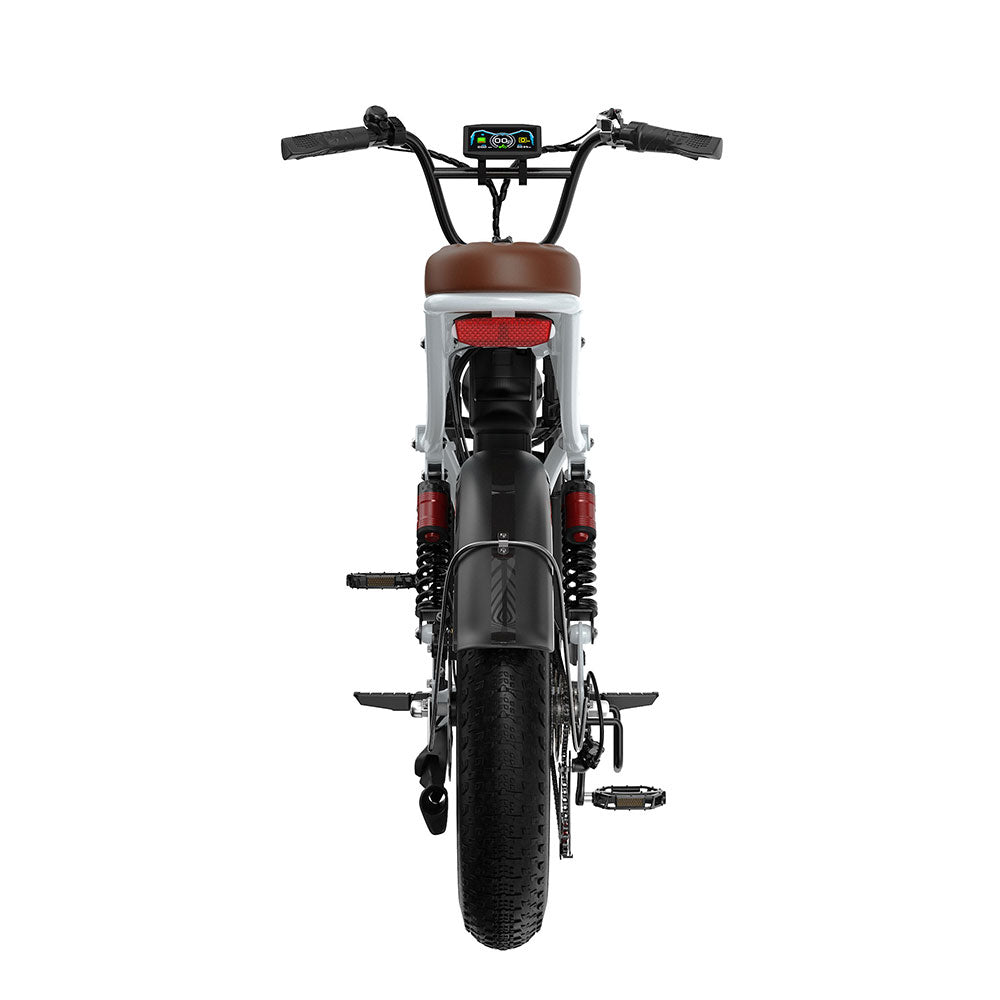 Velopro M9 20'' 250W Retro Dual-Battery Fat Tire E-Bike 48V 35Ah battery