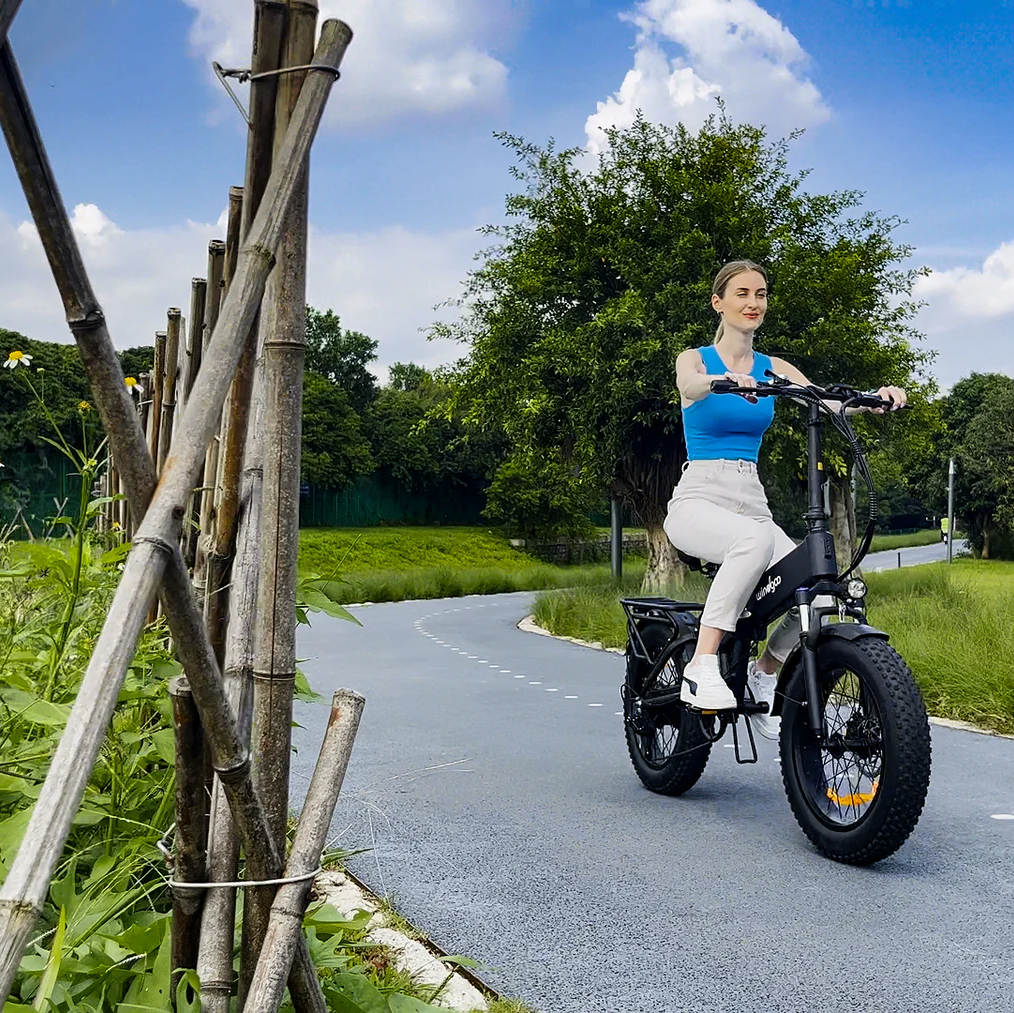 WINDGOO F22 PRO 20" Folding Electric Bike 250W Motor 48V 12.5Ah Battery