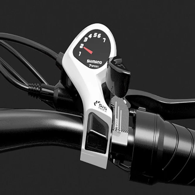 LANKELEISI X2000 MAX 20" Foldable Electric Bike 2000W Dual Motor 48V 20Ah Battery