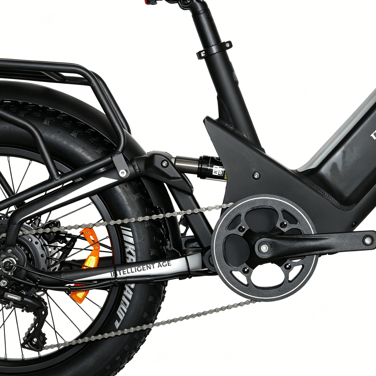 BAOLUJIE P4 DP 2011 24" Mountain E-Bike 2000W Motor 48V 20Ah Battery