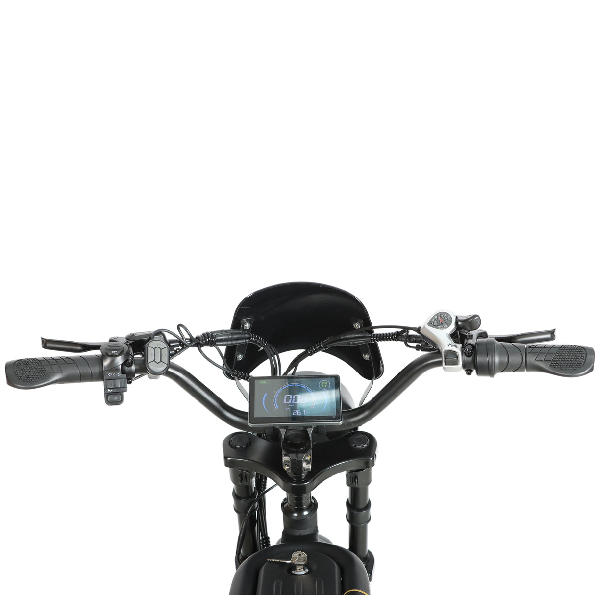 BAOLUJIE DM2001 20" Off-Road E-Bike 2000W Motor 60V 30Ah Battery