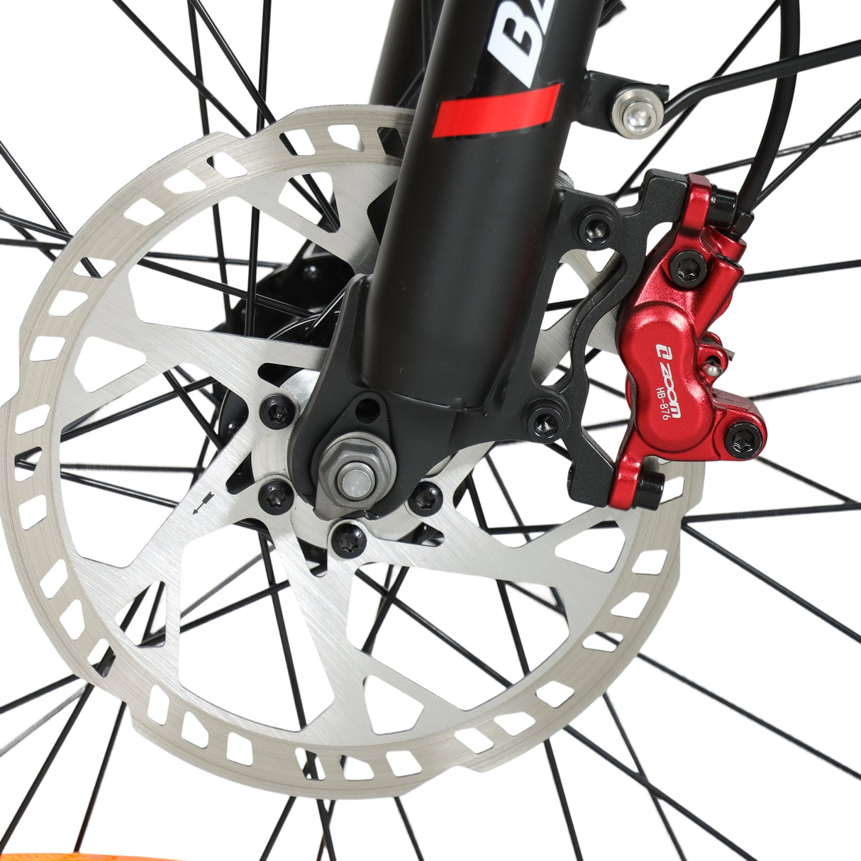 BAOLUJIE DM2001 20" Off-Road E-Bike 2000W Motor 60V 30Ah Battery