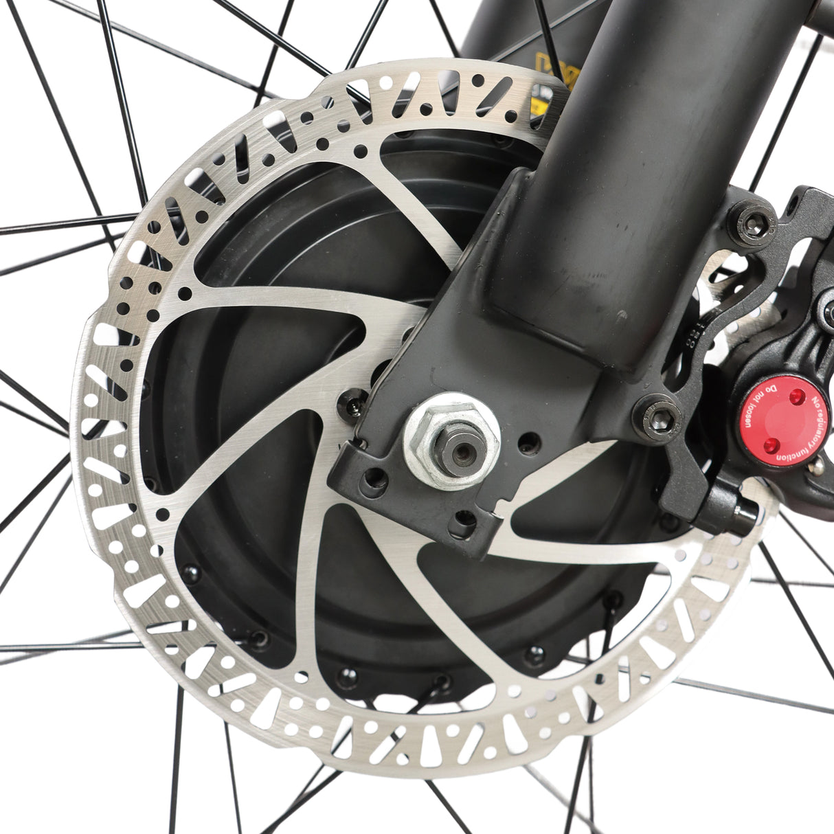 BAOLUJIE DP-2602 26" Fat-Tire E-Bike 2000W Motor 48V 23Ah Battery