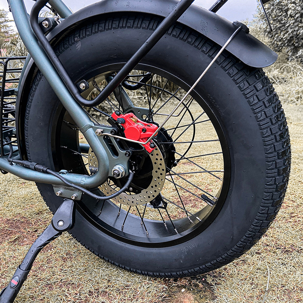 COSWHEEL CT20 20" Off Road Electric Bike 1000W Motor 48V 25Ah Battery