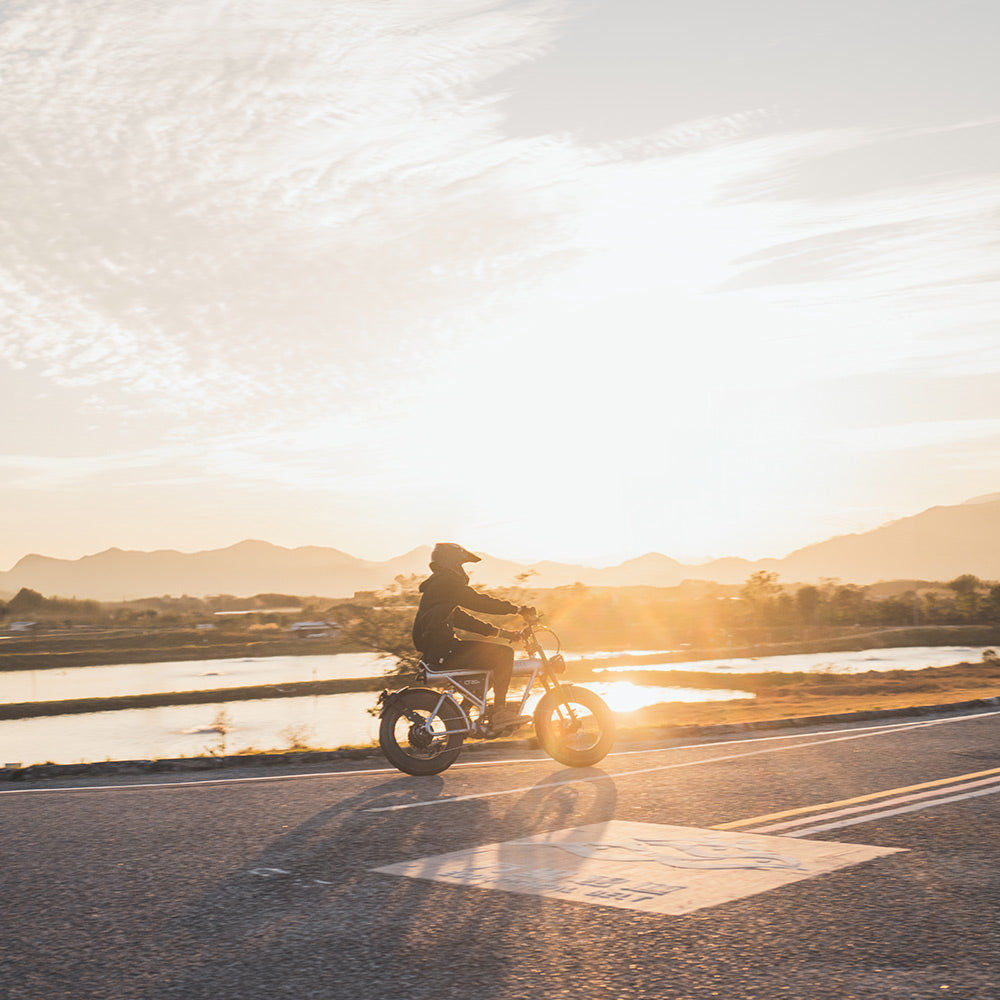 COSWHEEL CT20S 20" Off Road Electric Bike 1500W Motor 60V 27.5Ah Battery