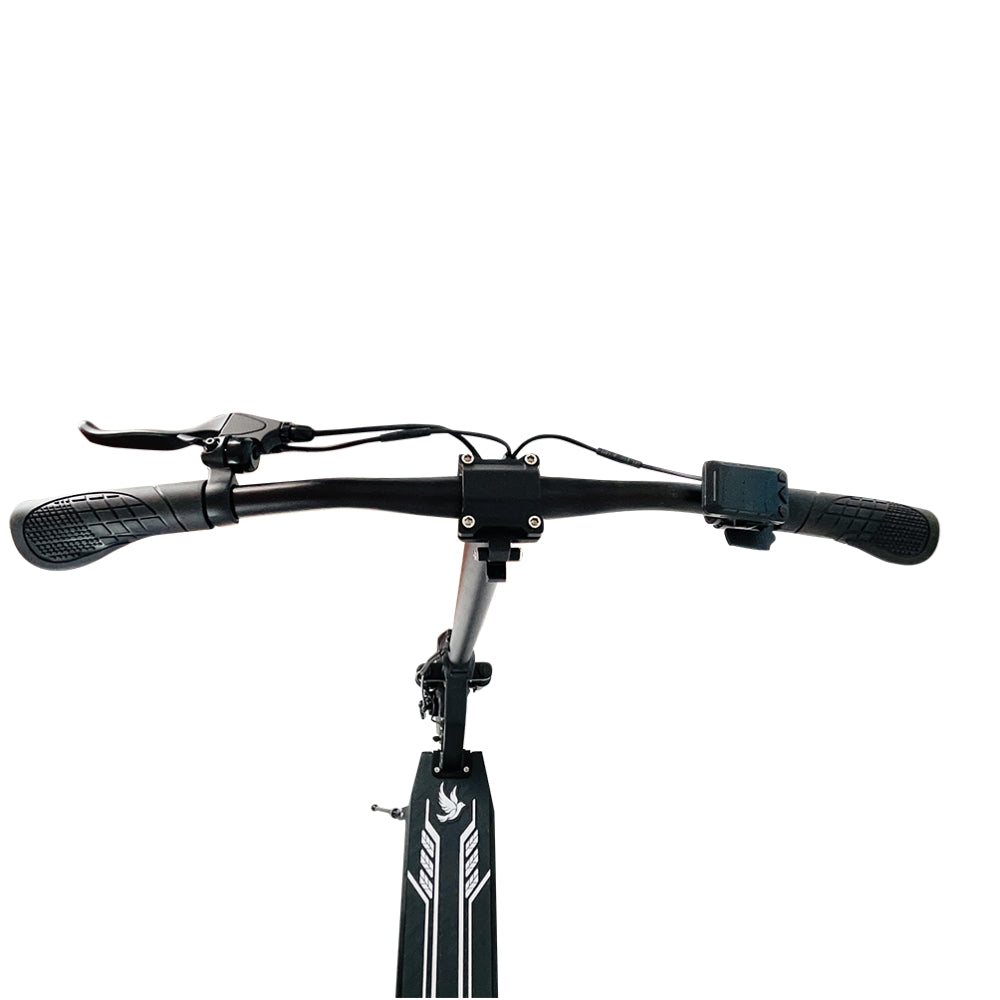 DRIVETRON DT08 10" Folding Electric Scooter 350W Motor 36V 10Ah Battery