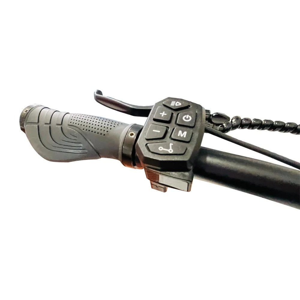 DRIVETRON DT10 10" Folding Electric Scooter 1000W Motor 48V 15.6Ah Battery(Turn Signal Version)