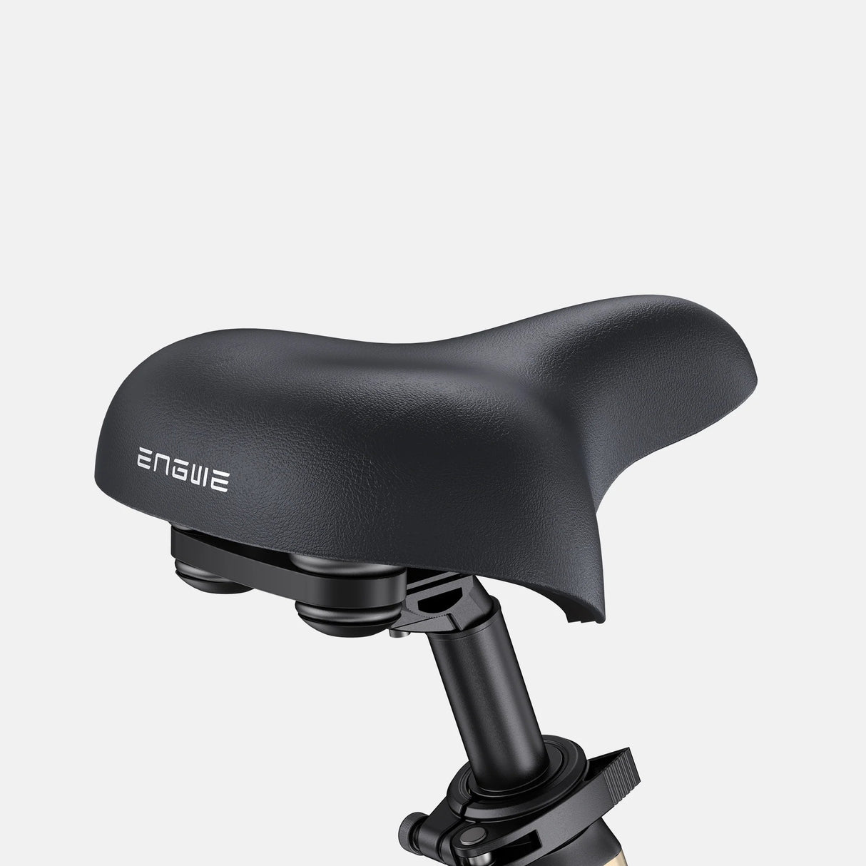 ENGWE L20 3.0 Pro 20" Step-Thru Electric Bike 250W Motor 48V 15Ah Battery