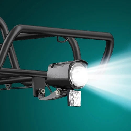 ENGWE L20 Boost 20" Step-Thru E-bike 250W Motor 48V 13Ah Battery