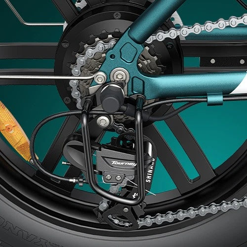 ENGWE L20 Boost 20" Step-Thru E-bike 250W Motor 48V 13Ah Battery