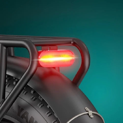 ENGWE L20 Boost 20" Step-Thru E-bike 250W Motor 48V 13Ah Battery