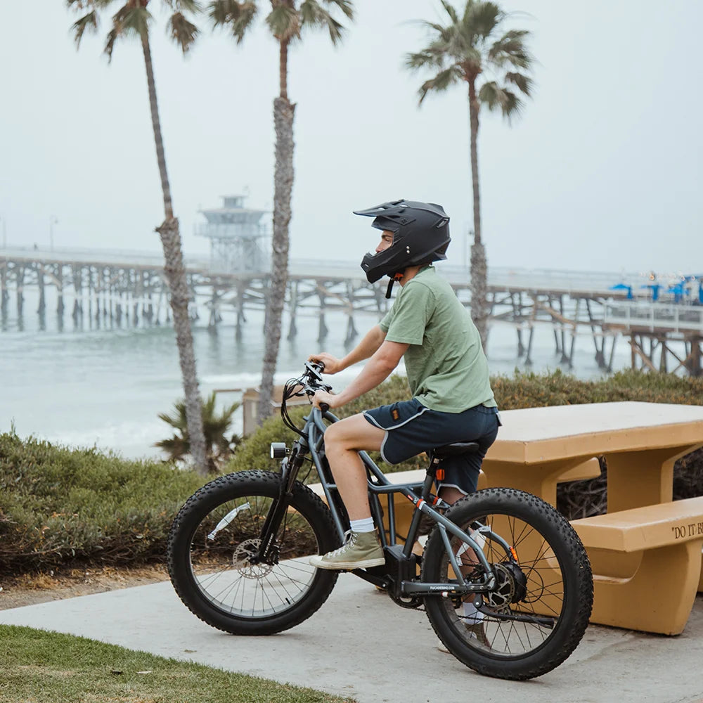 FUCARE Taurus 26" Off Road Electric Bike 750W Motor 48V 25Ah Battery