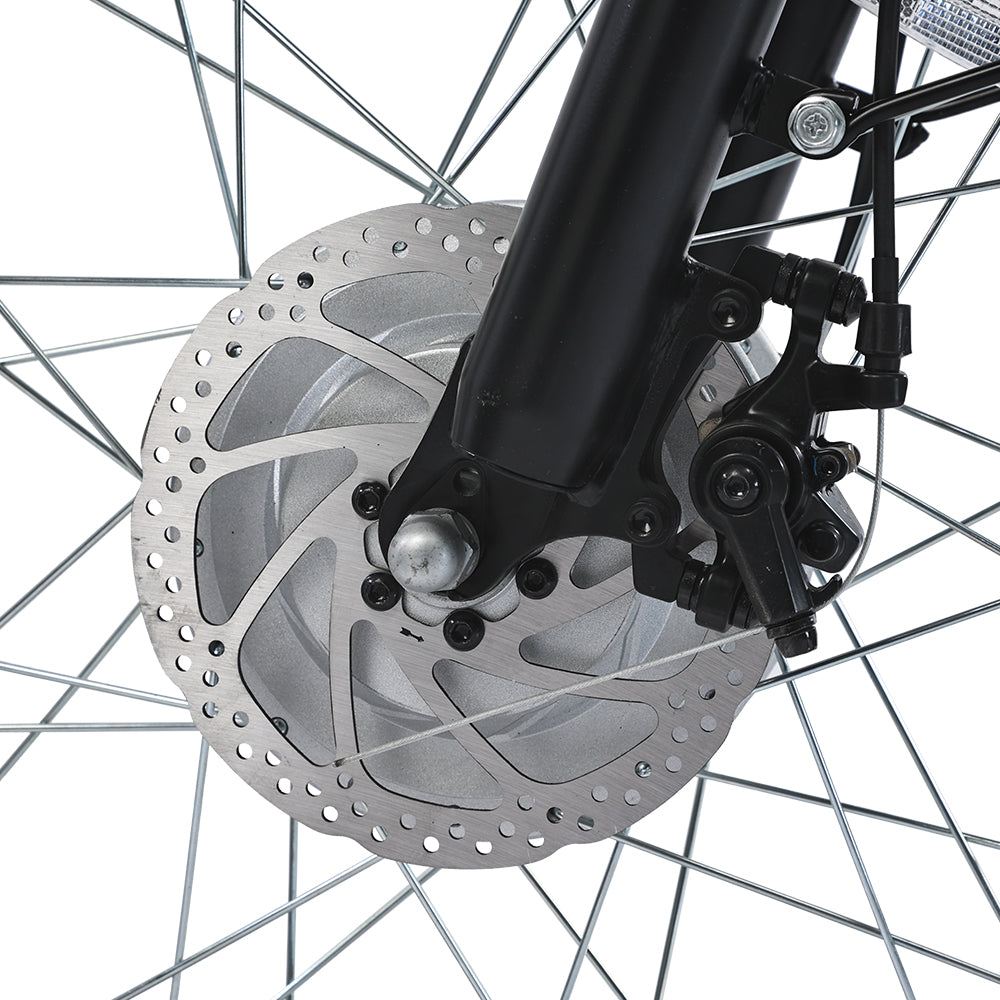 GOGOBEST GF100 24" Electric City Tricycle Cargo Ebike 350W Motor 36V 20Ah Battery