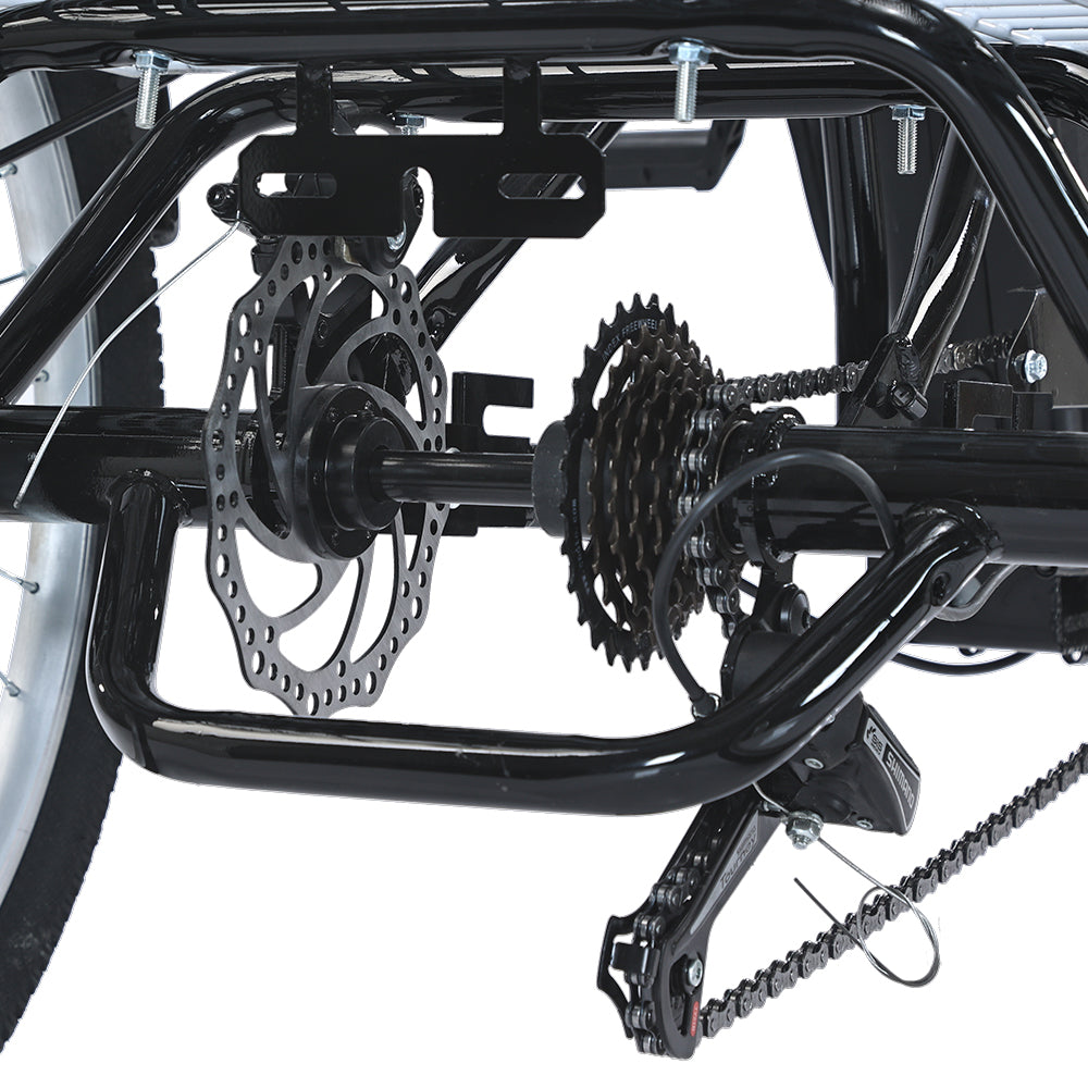 GOGOBEST GF100 24" Electric City Tricycle Cargo Ebike 350W Motor 36V 20Ah Battery