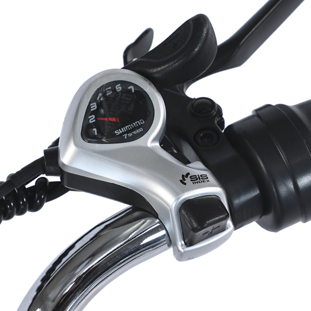 GOGOBEST GF100 24" Electric City Tricycle Cargo Ebike 350W Motor 36V 20Ah Battery