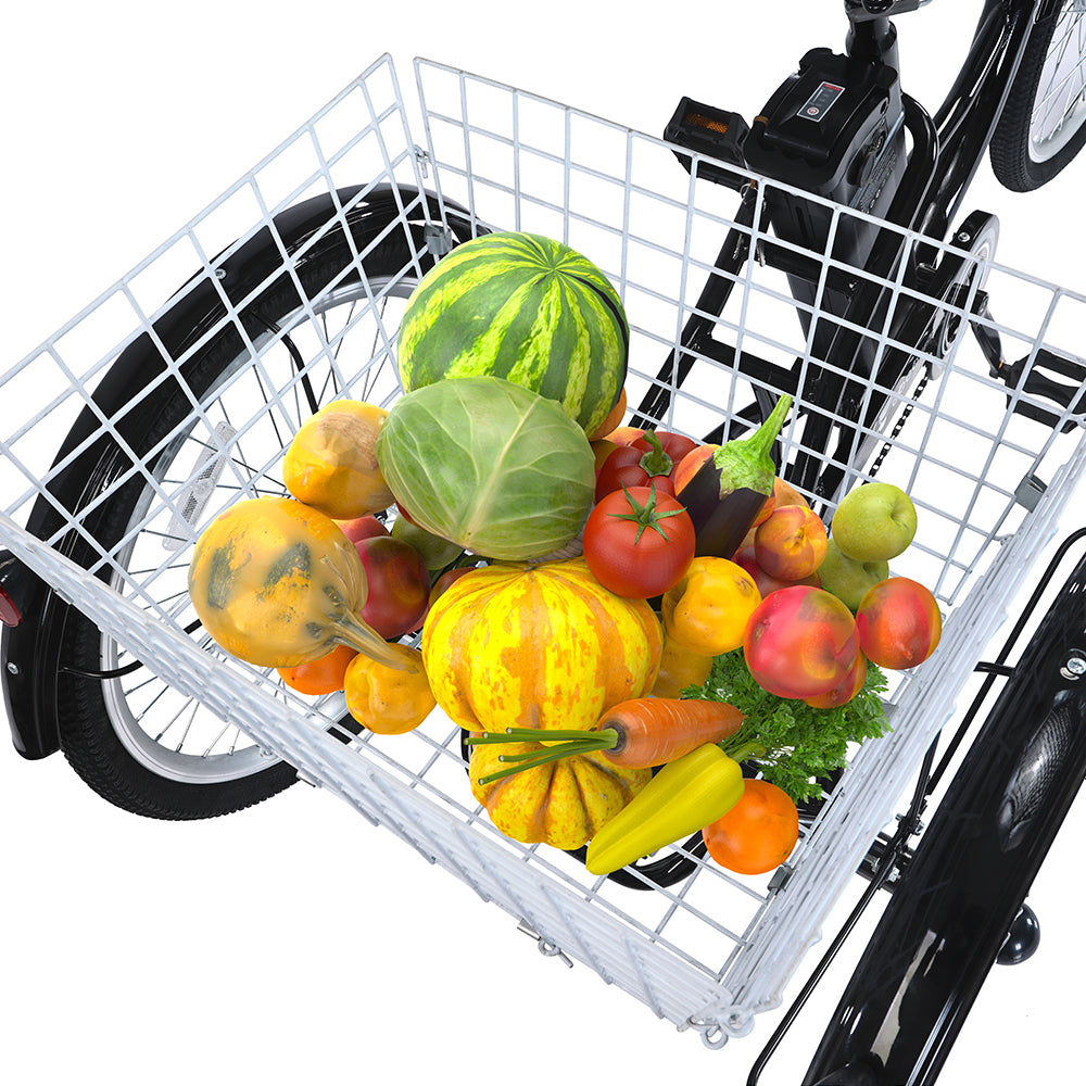 GOGOBEST GF100 24" Electric City Tricycle Cargo Ebike 350W Motor 36V 20Ah Battery