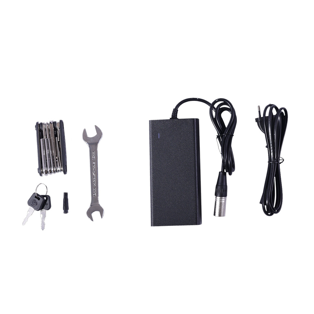 GOGOBEST GF200 20" Electric City Cargo Ebike 500W Motor 48V 15.6Ah Battery