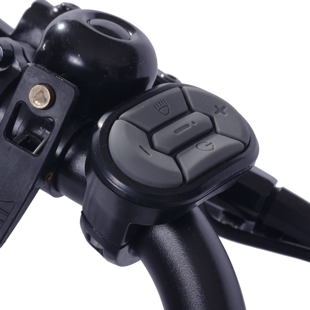 GOGOBEST GF200 20" Electric City Cargo Ebike 500W Motor 48V 15.6Ah Battery