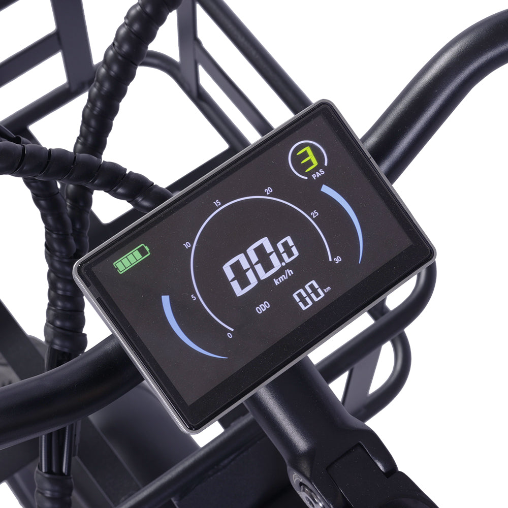 GOGOBEST GF200 20" Electric City Cargo Ebike 500W Motor 48V 15.6Ah Battery