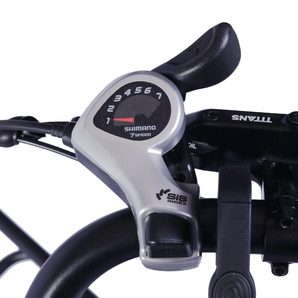 GOGOBEST GF200 20" Electric City Cargo Ebike 500W Motor 48V 15.6Ah Battery