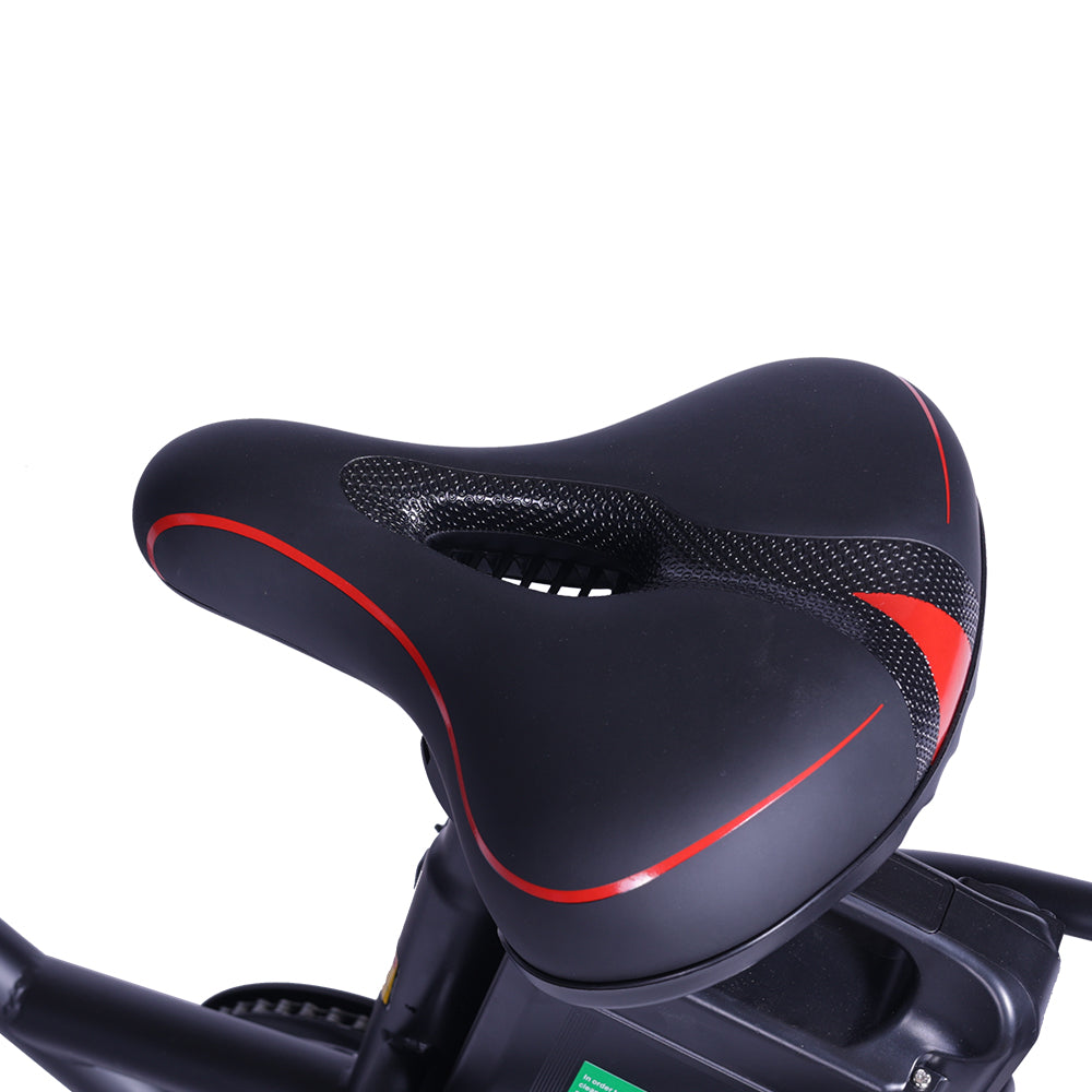 GOGOBEST GF200 20" Electric City Cargo Ebike 500W Motor 48V 15.6Ah Battery