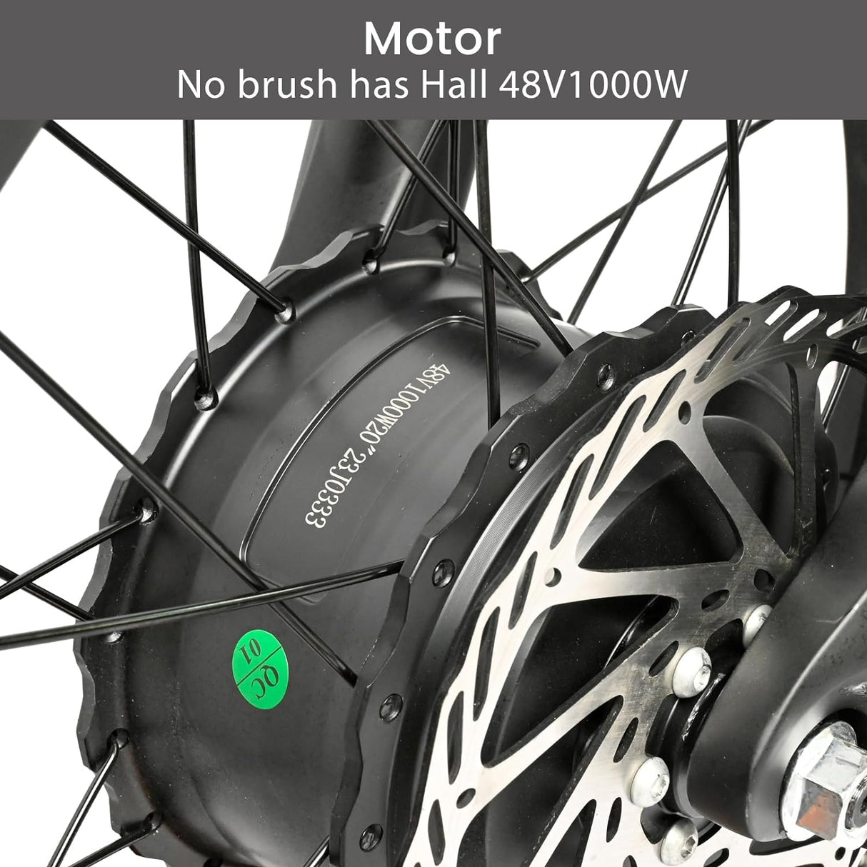 BAOLUJIE DP2033 ebike motor brushless has hall 48V 1000W