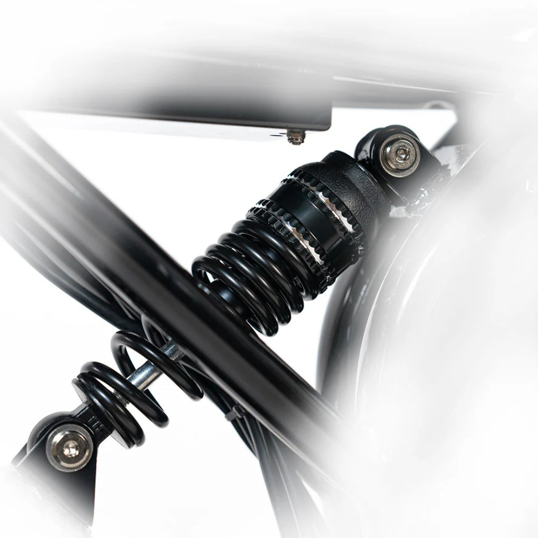 HAPPYRUN G70 Pro 20" Electric Cargo Bike 5000W Peak Dual Motor 48V 15Ah+18Ah Dual Batteries