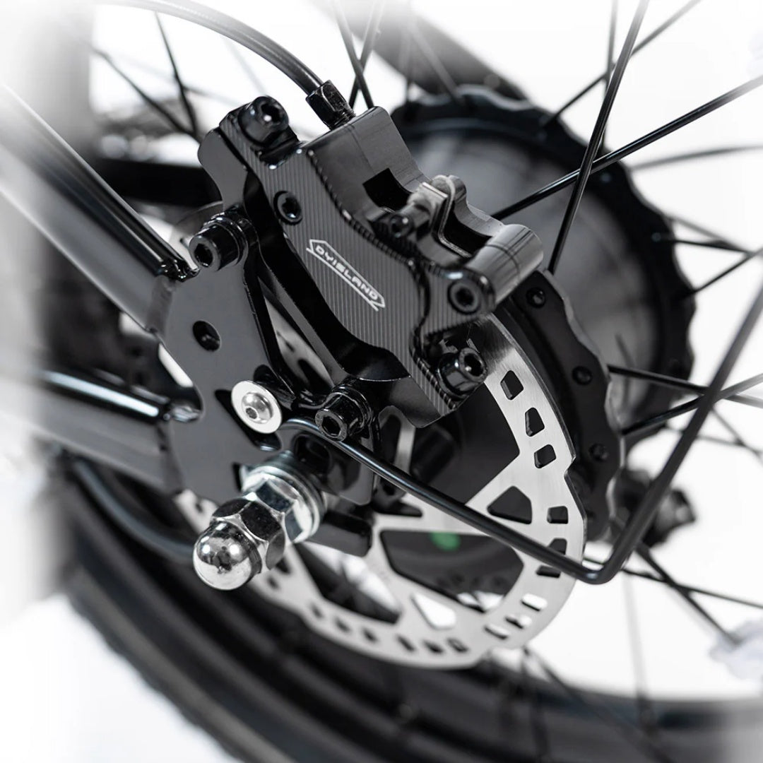 HAPPYRUN G70 Pro 20" Electric Cargo Bike 5000W Peak Dual Motor 48V 15Ah+18Ah Dual Batteries