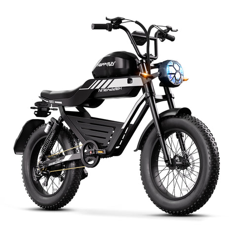 HAPPYRUN G100 Fat Tire Electric Bikes 2000W Peak Motor 38Ah Dual Batteries