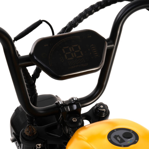 HAPPYRUN G100 Fat Tire Electric Bikes 2000W Peak Motor 38Ah Dual Batteries