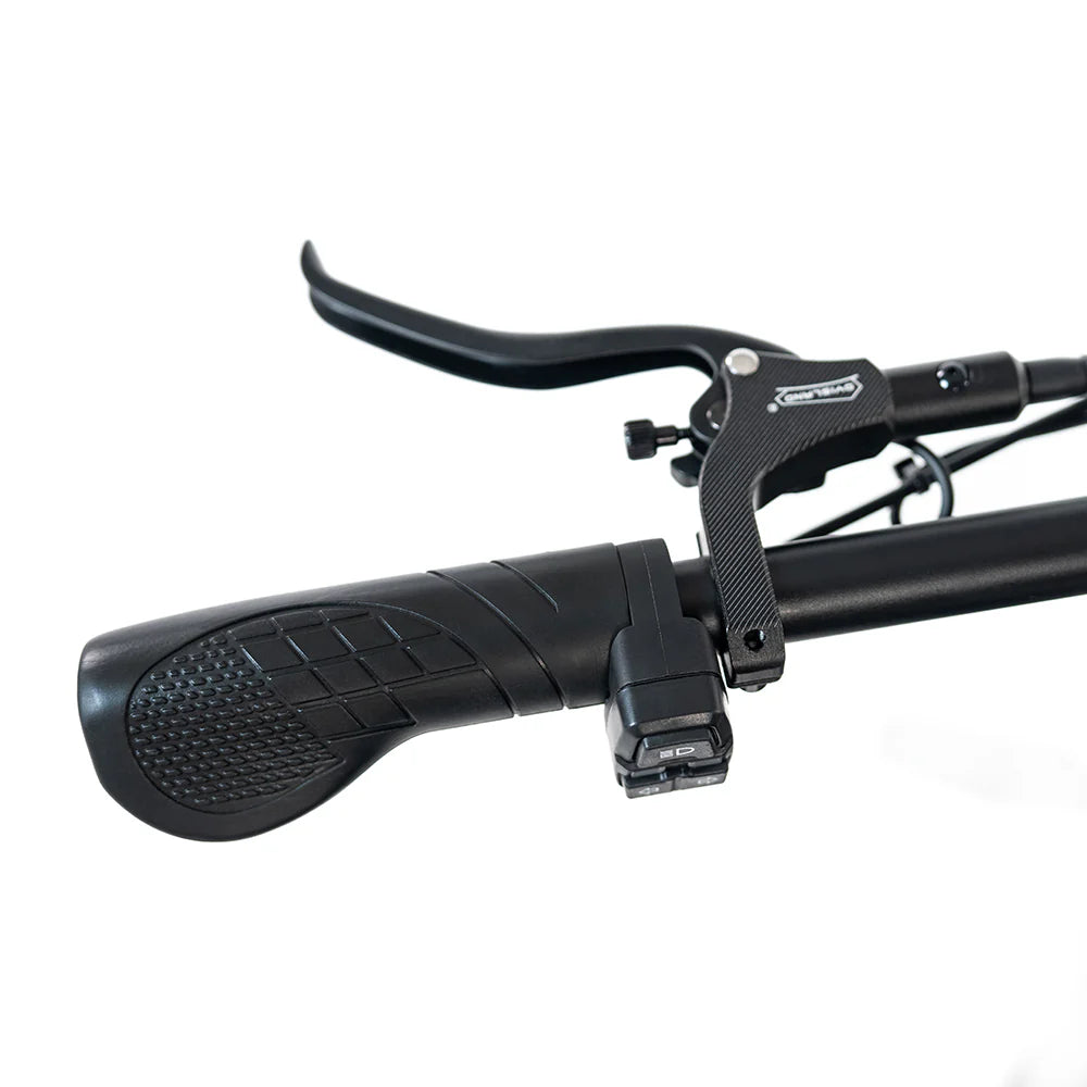 HAPPYRUN G70 20" Electric Cargo Bike 2000W Peak Motor 48V 20Ah+18Ah Dual Batteries