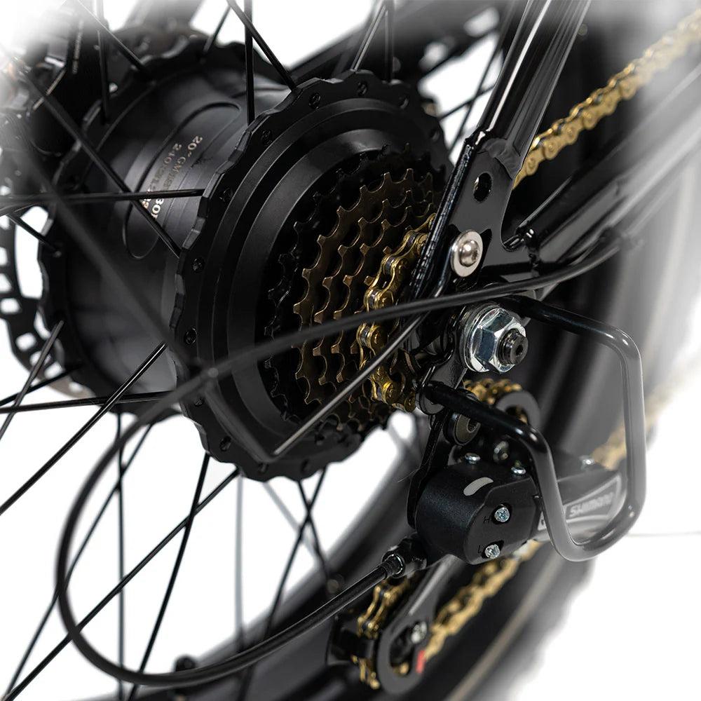 HAPPYRUN G70 20" Electric Cargo Bike 2000W Peak Motor 48V 20Ah+18Ah Dual Batteries