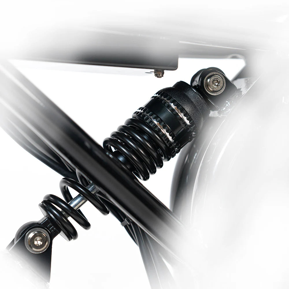 HAPPYRUN G70 20" Electric Cargo Bike 2000W Peak Motor 48V 20Ah+18Ah Dual Batteries