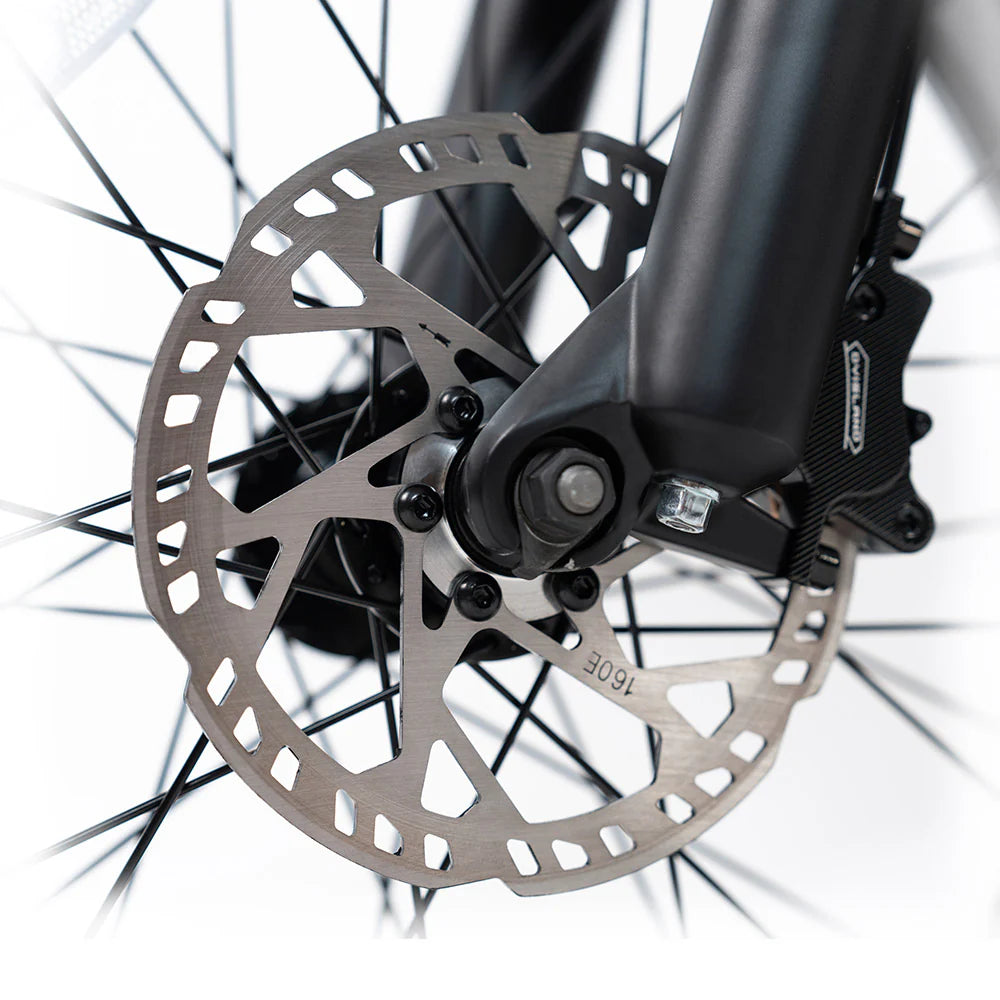 HAPPYRUN G70 20" Electric Cargo Bike 2000W Peak Motor 48V 20Ah+18Ah Dual Batteries