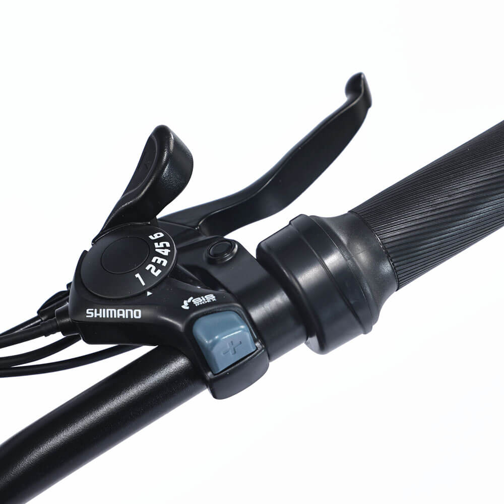 IDPOO IM-C1 20" Off Road Electric Bike 1500W Motor 48V 20.8Ah Battery