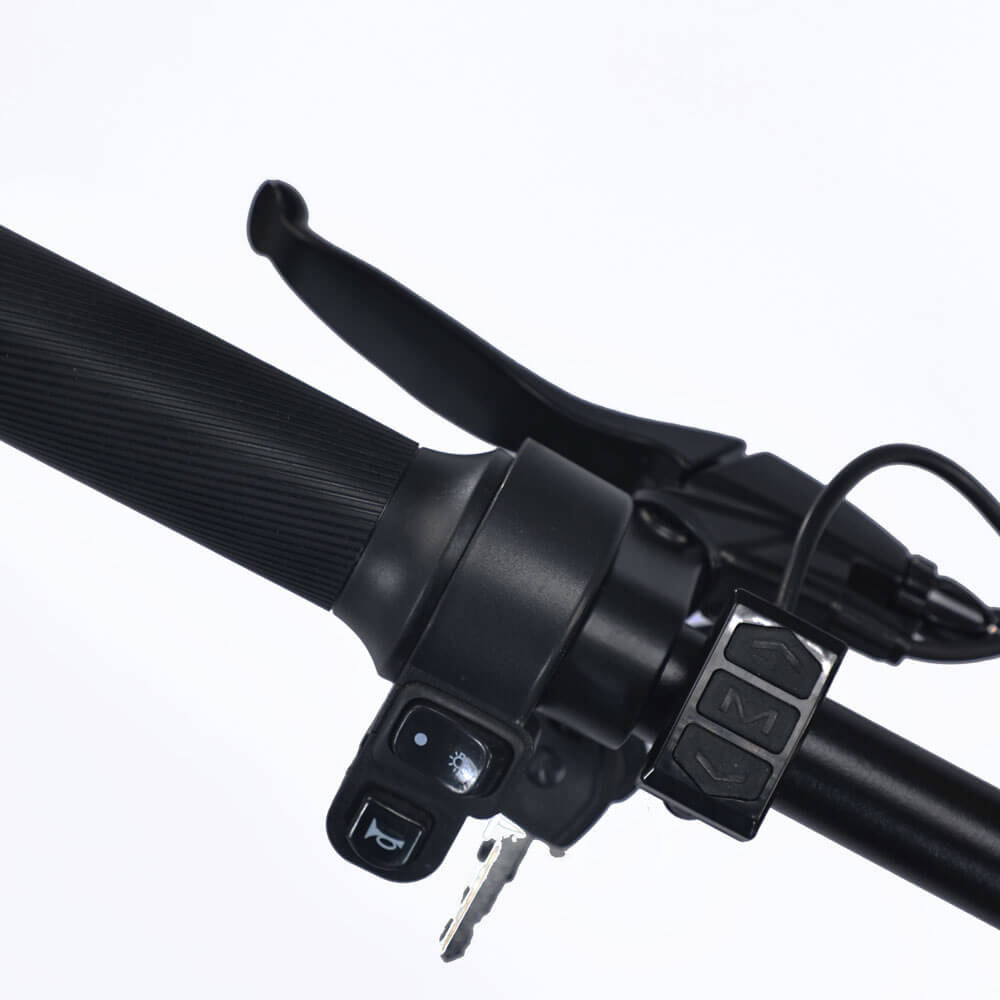 IDPOO IM-C1 20" Off Road Electric Bike 1500W Motor 48V 20.8Ah Battery