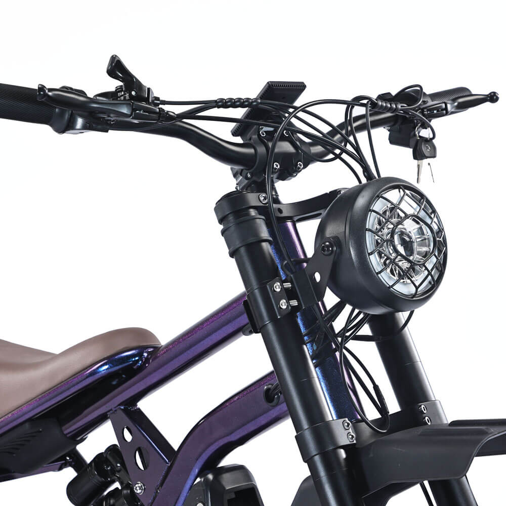 IDPOO IM-C1 20" Off Road Electric Bike 1500W Motor 48V 20.8Ah Battery