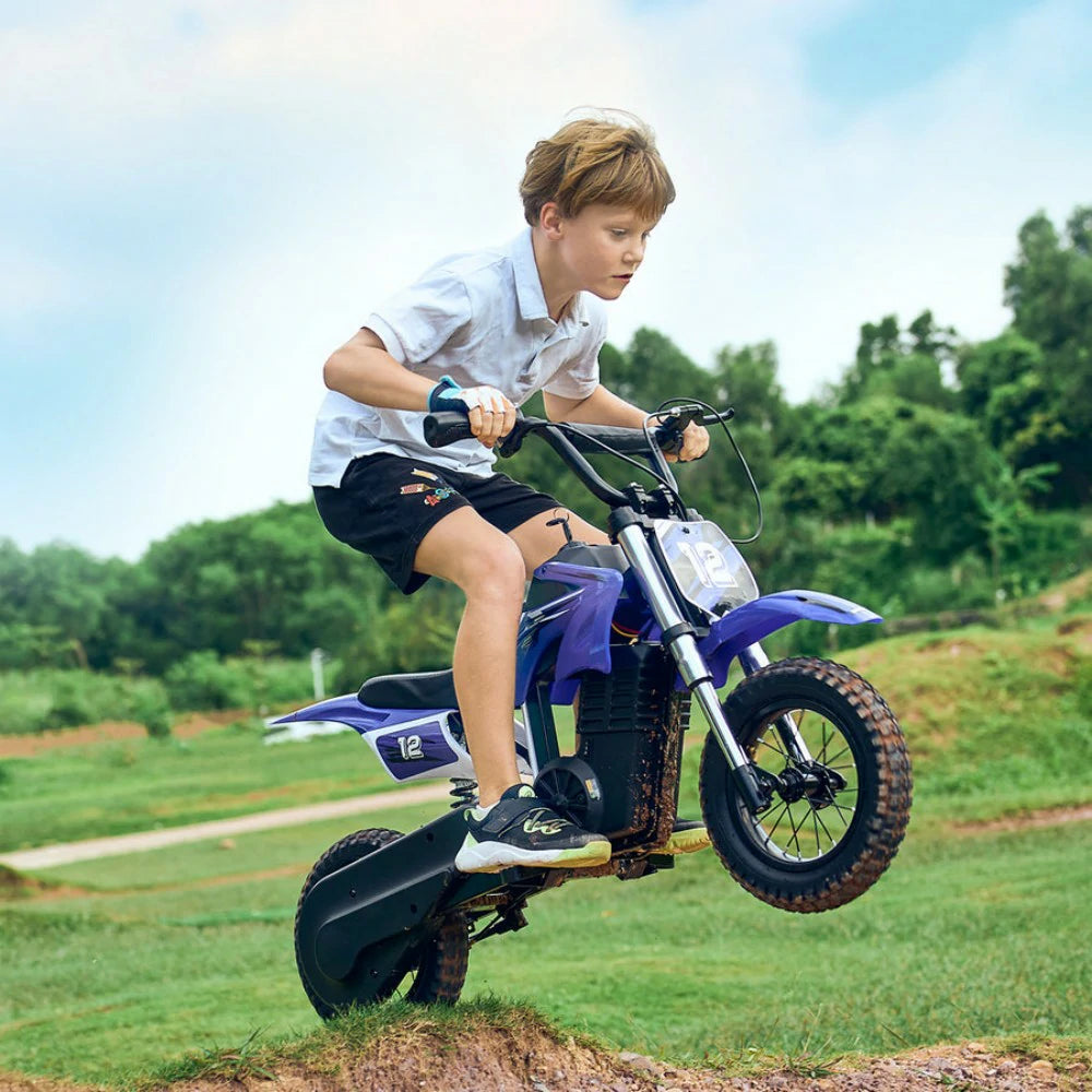 ISINWHEEL A12 12" Off Road Electric Bike For Kids 350W Motor 36V 5.2Ah Battery