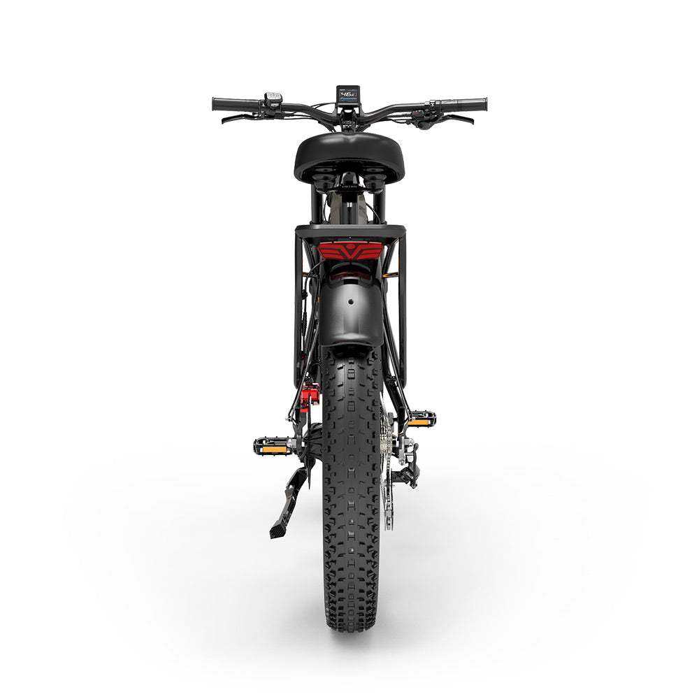 LANKELEISI MG800MAX 26∪ Fat Tires All Terrain Electric Bike 2*1000W Dual Motor 48V 20Ah Battery