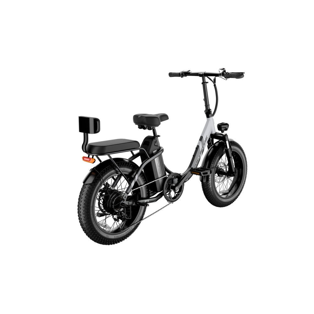 LUCKEEP C23 20" Folding Electric Bike 750W Motor 48V 13Ah Battery