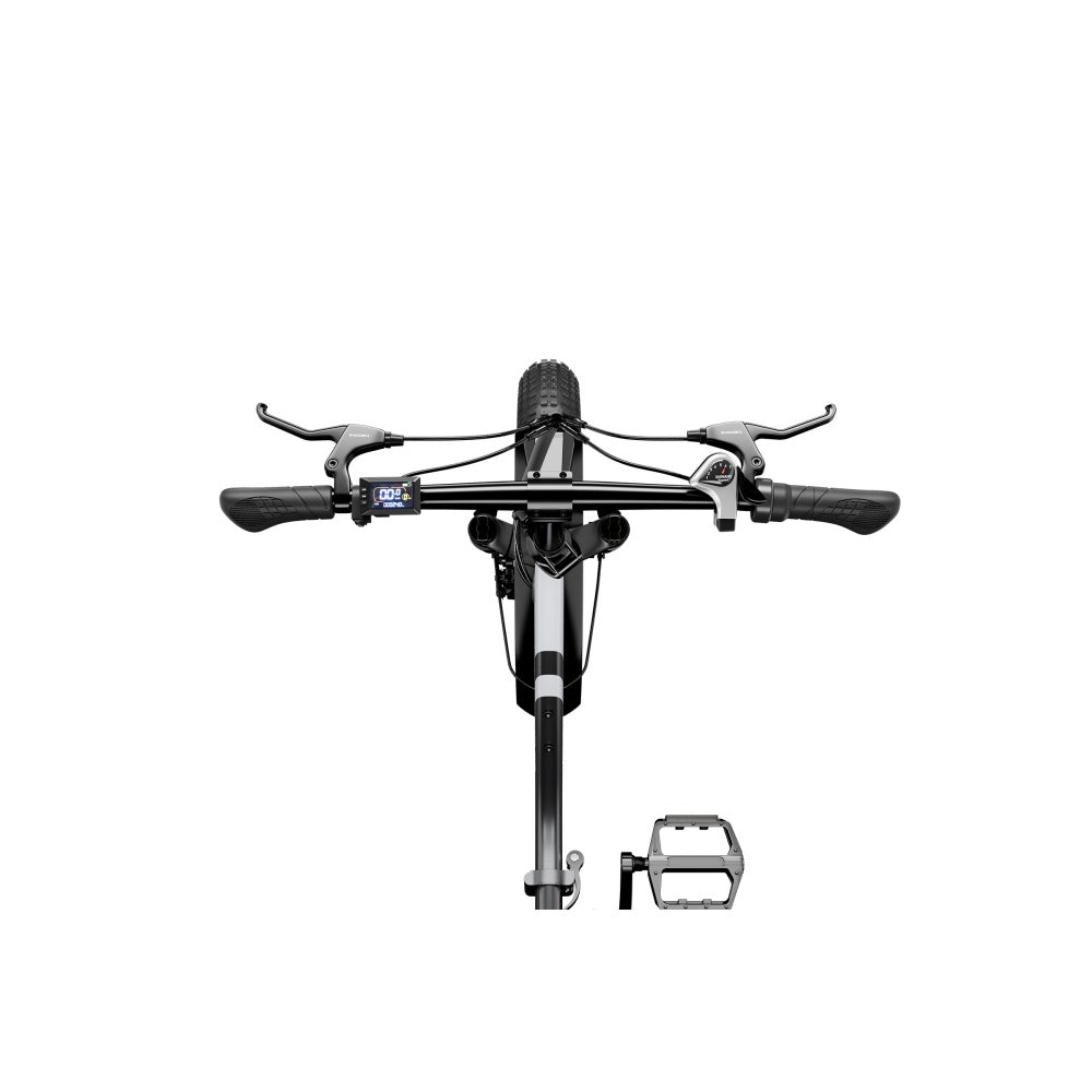 LUCKEEP C23 20" Folding Electric Bike 750W Motor 48V 13Ah Battery
