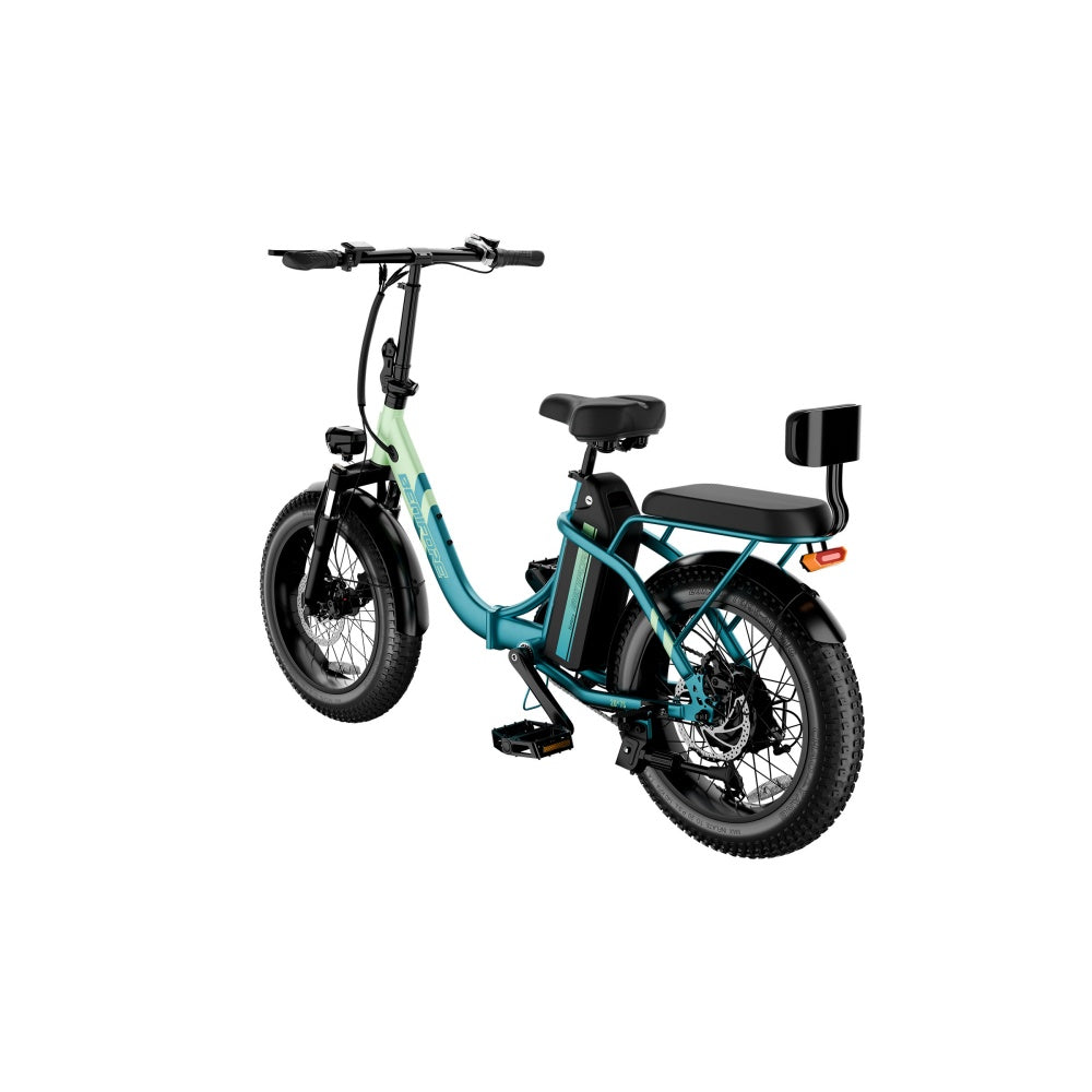 LUCKEEP C23 20" Folding Electric Bike 750W Motor 48V 13Ah Battery