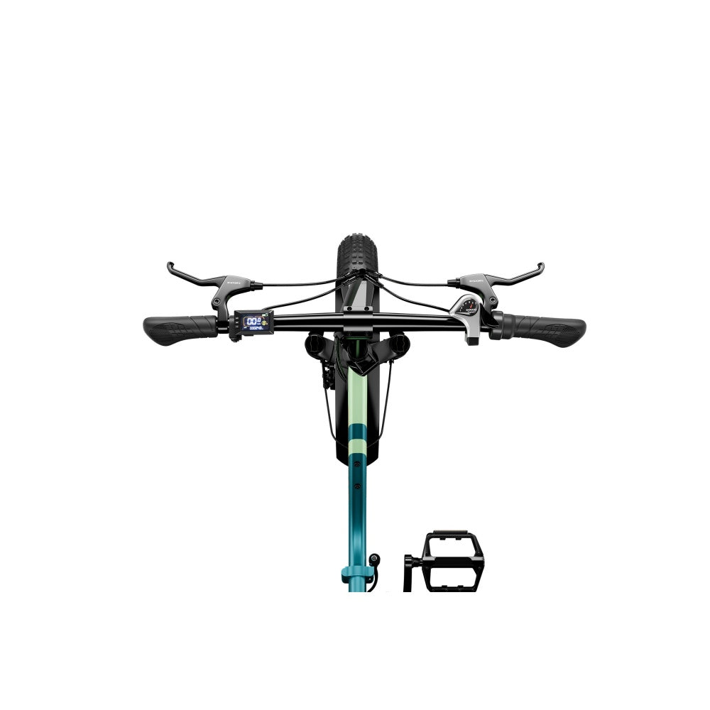 LUCKEEP C23 20" Folding Electric Bike 750W Motor 48V 13Ah Battery