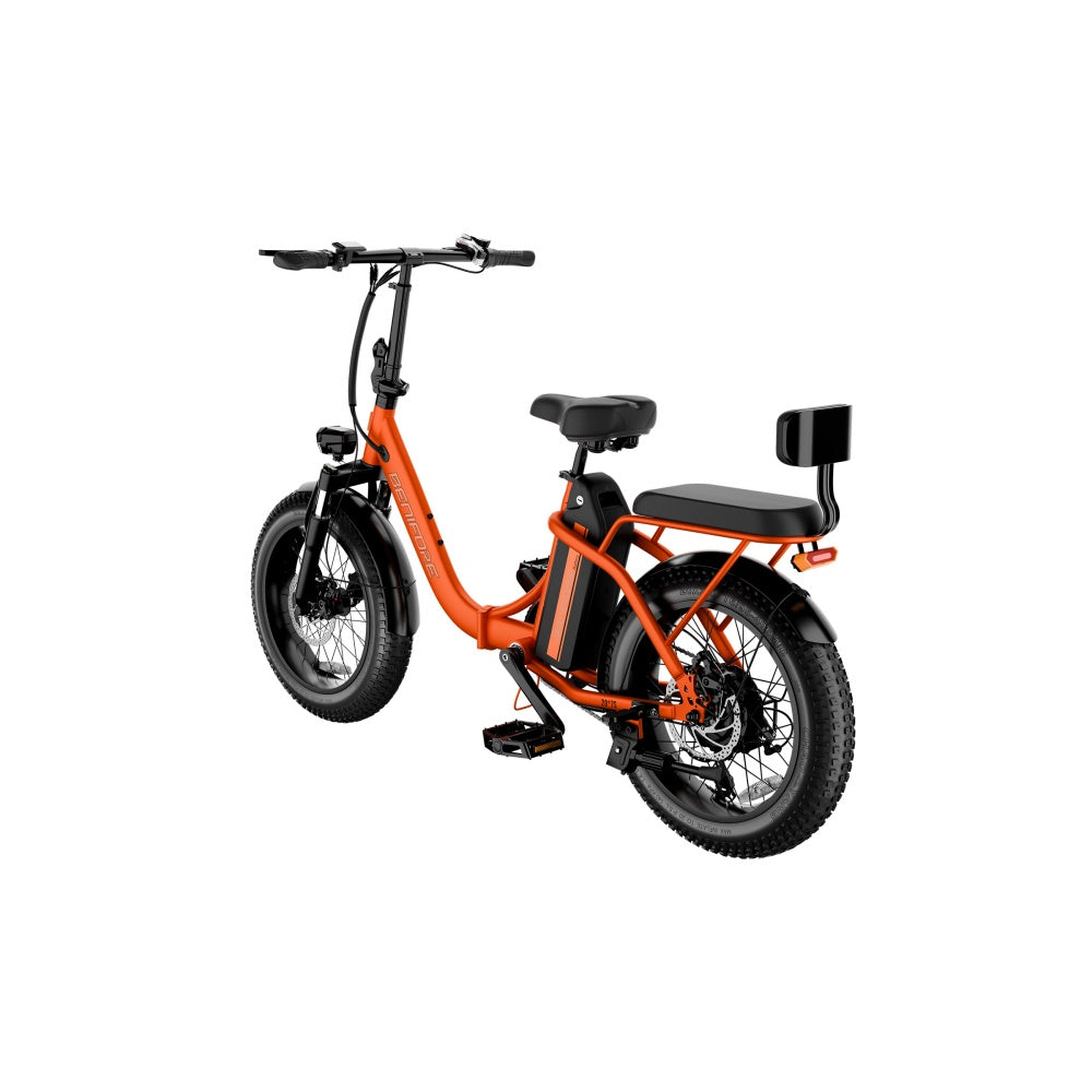LUCKEEP C23 20" Folding Electric Bike 750W Motor 48V 13Ah Battery