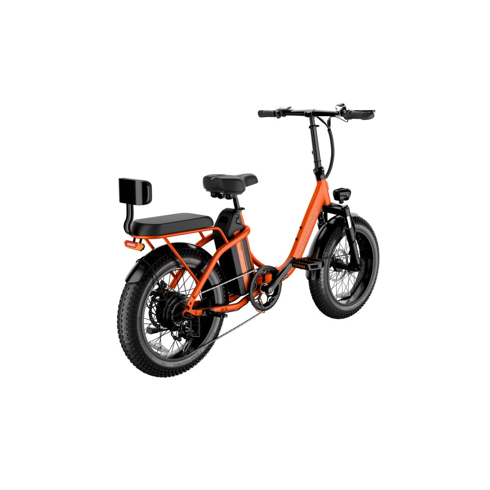 LUCKEEP C23 20" Folding Electric Bike 750W Motor 48V 13Ah Battery