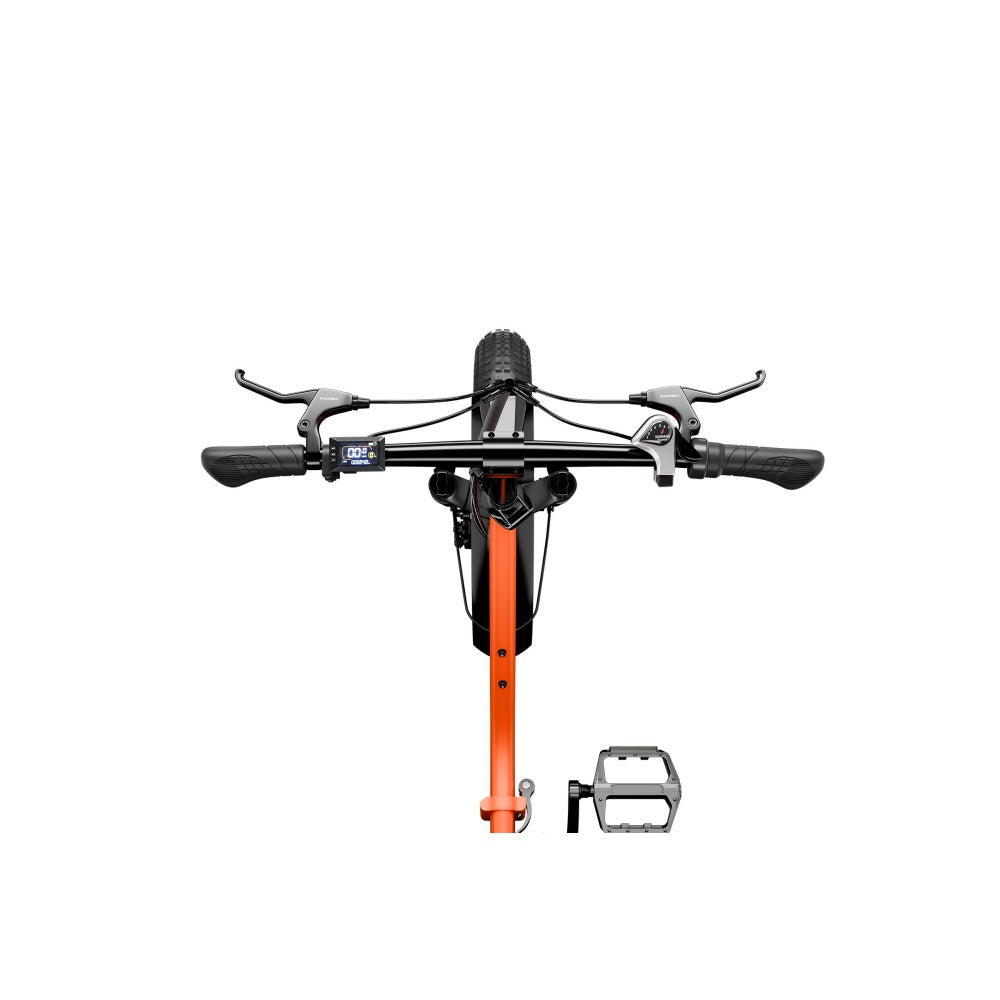 LUCKEEP C23 20" Folding Electric Bike 750W Motor 48V 13Ah Battery