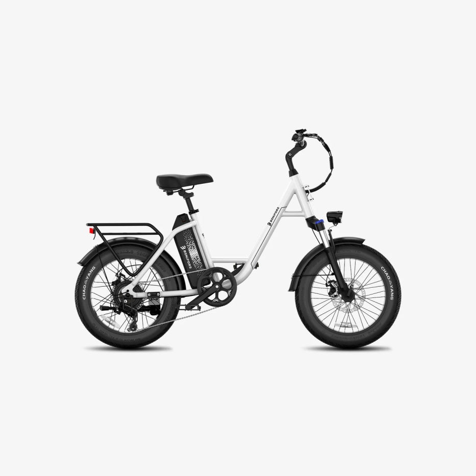 LUCKEEP C27 20" Step-Thru Cargo Electric Bike 750W(1200W Peak) Motor 48V 13Ah Battery