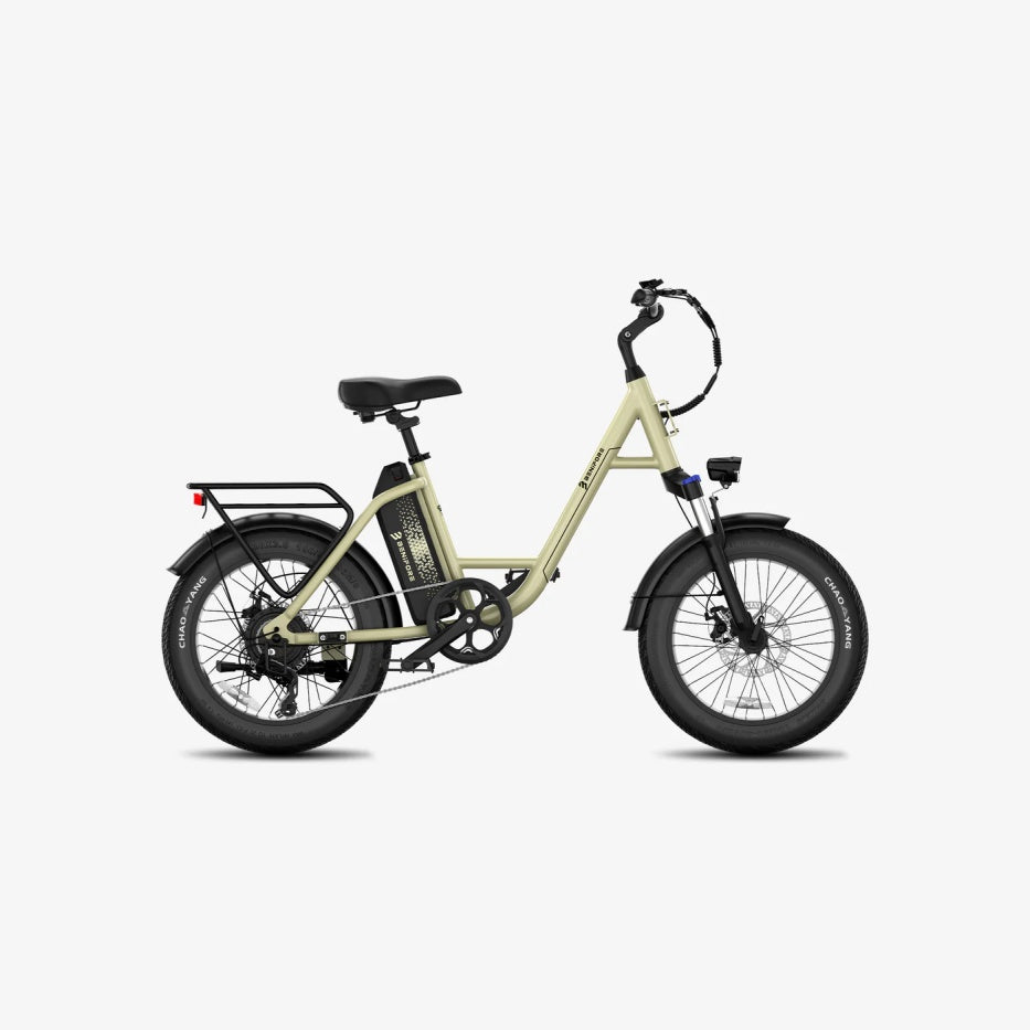 LUCKEEP C27 20" Step-Thru Cargo Electric Bike 750W(1200W Peak) Motor 48V 13Ah Battery