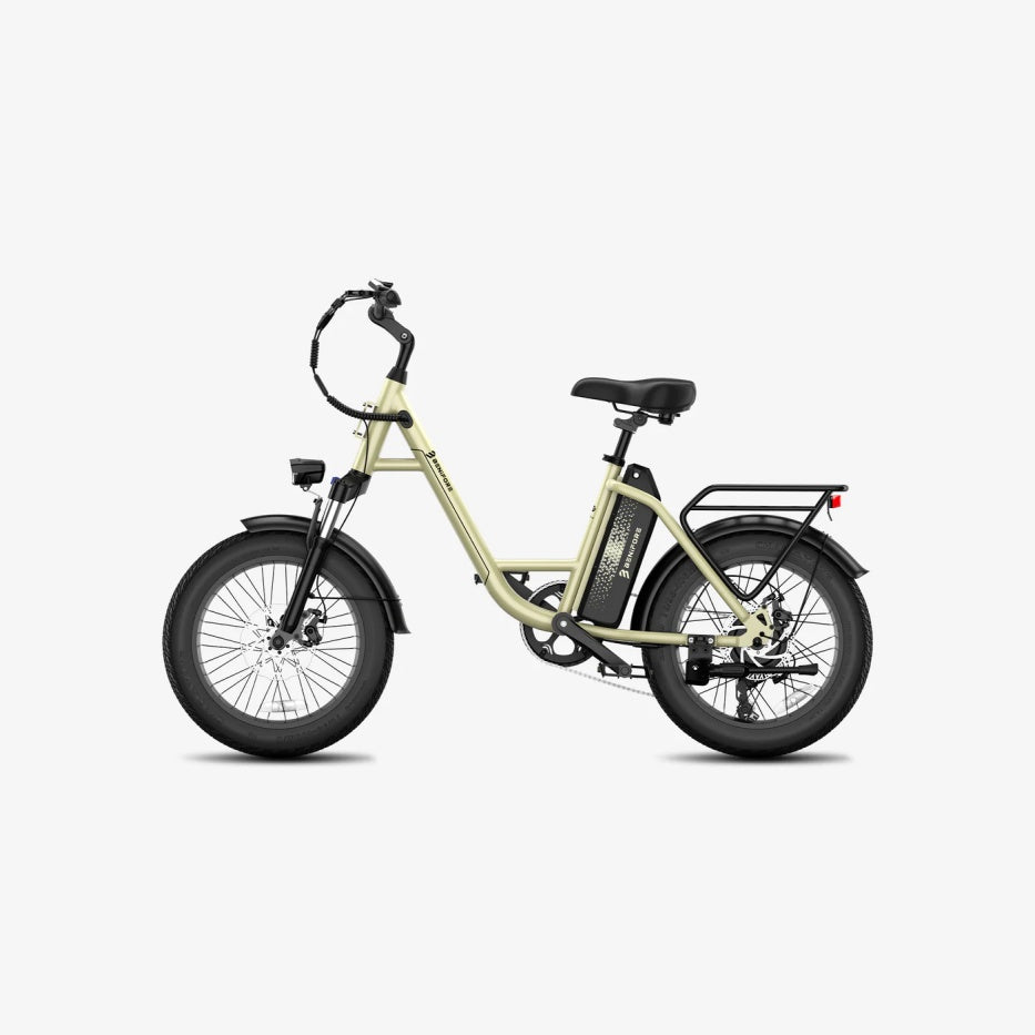 LUCKEEP C27 20" Step-Thru Cargo Electric Bike 750W(1200W Peak) Motor 48V 13Ah Battery